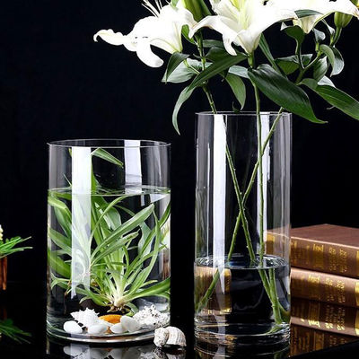 Minimalista 60cm alto vasos de vidro A combinação perfeita de estilo e função