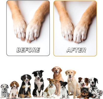 Pad de couro para cães para cuidados com unhas de madeira para uso doméstico com caixa de lanches