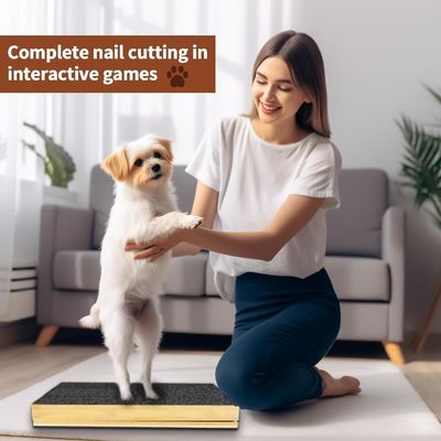 Pad de raspagem para cães/gatos com tampa removível e ficha de unhas ajustável em ângulo diferente