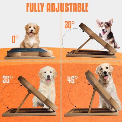 Tabela de raspagem de unhas de cão com caixa de guloseimas Pad de raspagem em forma de osso de cão para patas de unhas