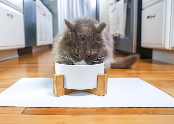 Padrão de madeira ajustável de madeira sólida para animais de estimação, gatos, cães, tigelas de comida para animais de estimação, alimentadores para animais de estimação sem ajuste de hora