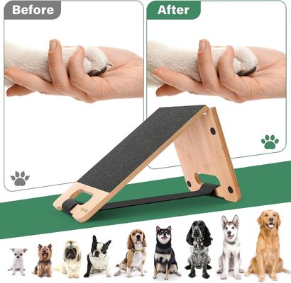 Cuidados com unhas de cães sem medo, para poupar espaço, com logotipo personalizado e design ajustável