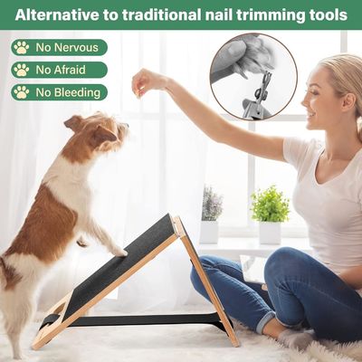Cuidados com unhas de cães sem medo, para poupar espaço, com logotipo personalizado e design ajustável