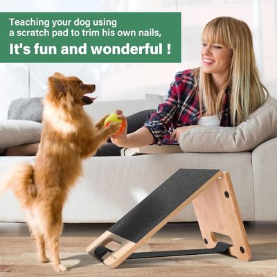 Cuidados com unhas de cães sem medo, para poupar espaço, com logotipo personalizado e design ajustável