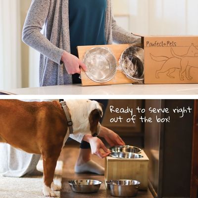 Mediano Cão Copo elevado 7 Copas elevadas Alimentador de animais com quatro Copas de aço inoxidável