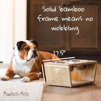 Mediano Cão Copo elevado 7 Copas elevadas Alimentador de animais com quatro Copas de aço inoxidável