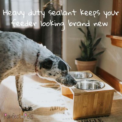 Mediano Cão Copo elevado 7 Copas elevadas Alimentador de animais com quatro Copas de aço inoxidável