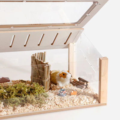 Caixinha de relógio Hideout de hamster personalizado Mobiliário de madeira para animais de estimação Playhouse Padrão sólido para animais de estimação pequenos