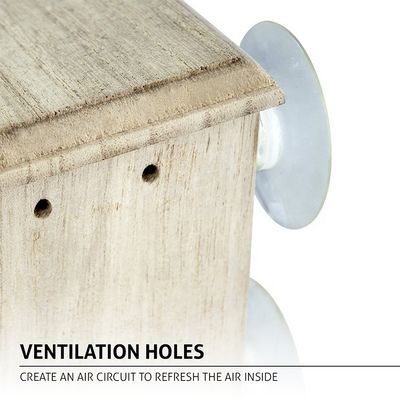 Logotipo personalizado Casa de pássaros de madeira adorável decorativa para exibição de decoração de jardim ao ar livre