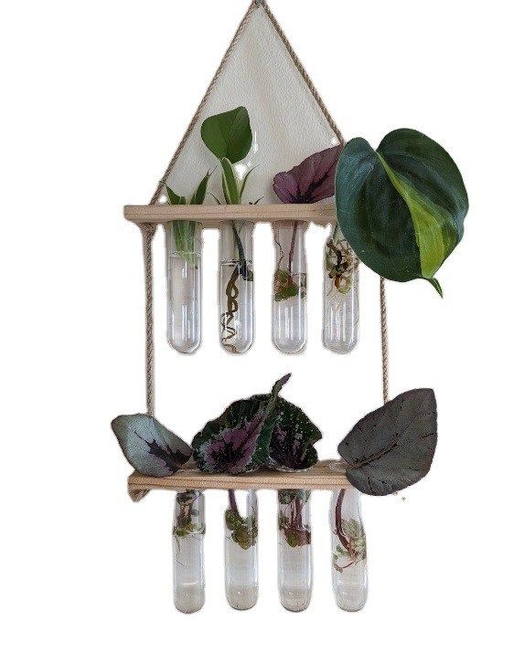 202407 Estação de propagação de plantas para plantas de cultivo de vasos hidropónicos OEM