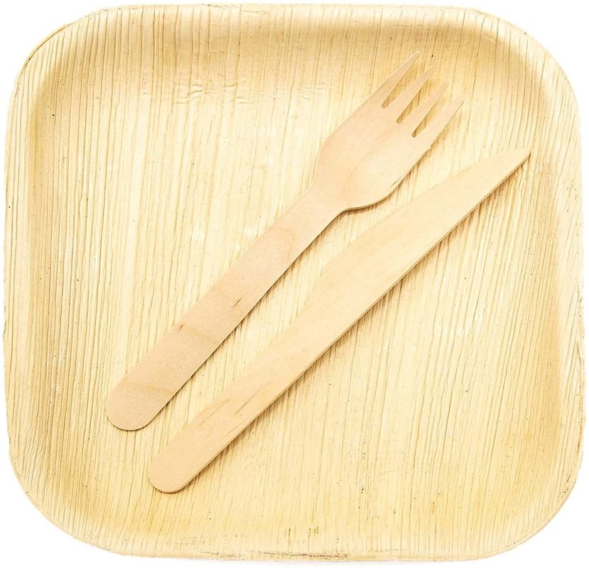 Eco-friendly 20 Pack Biodegradable Palm Leaf Plates 10 Inches Quadrado Robusto Como Bambú Desutilizável Elegante