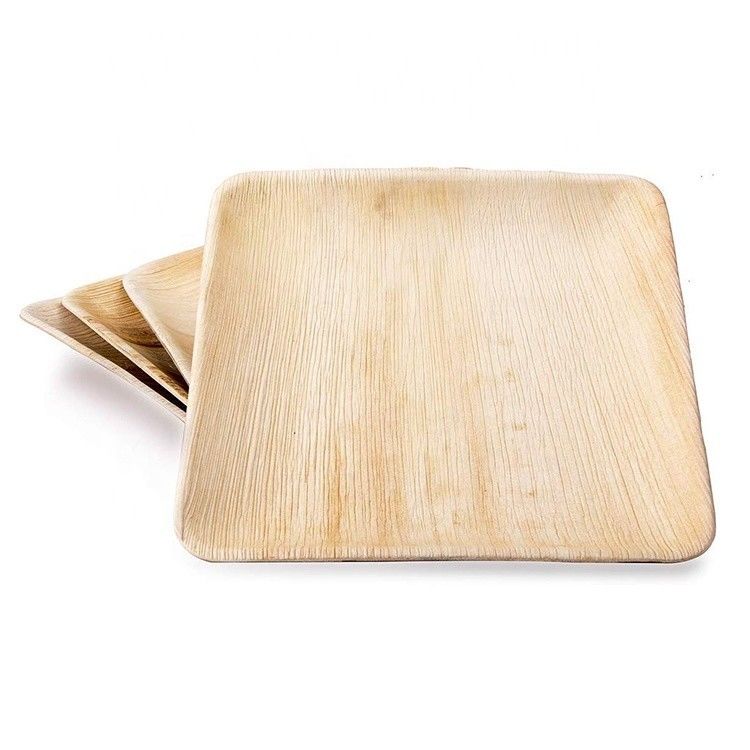 6x9 &quot;palma folha quadrada pratos de jantar de festa ecológico e presentes de negócios ocasião